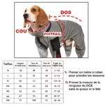 Tableau des tailles pour combinaison imperméable chien gris, avec mesures dos, poitrail, cou, et beagle en photo modélisant le produit.